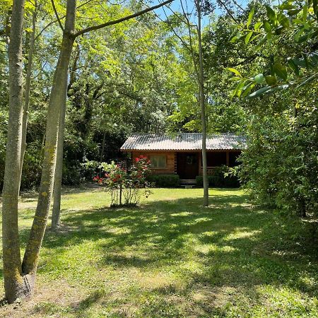 Bastidette Florestane Villa Saint-Rémy-de-Provence Exterior photo