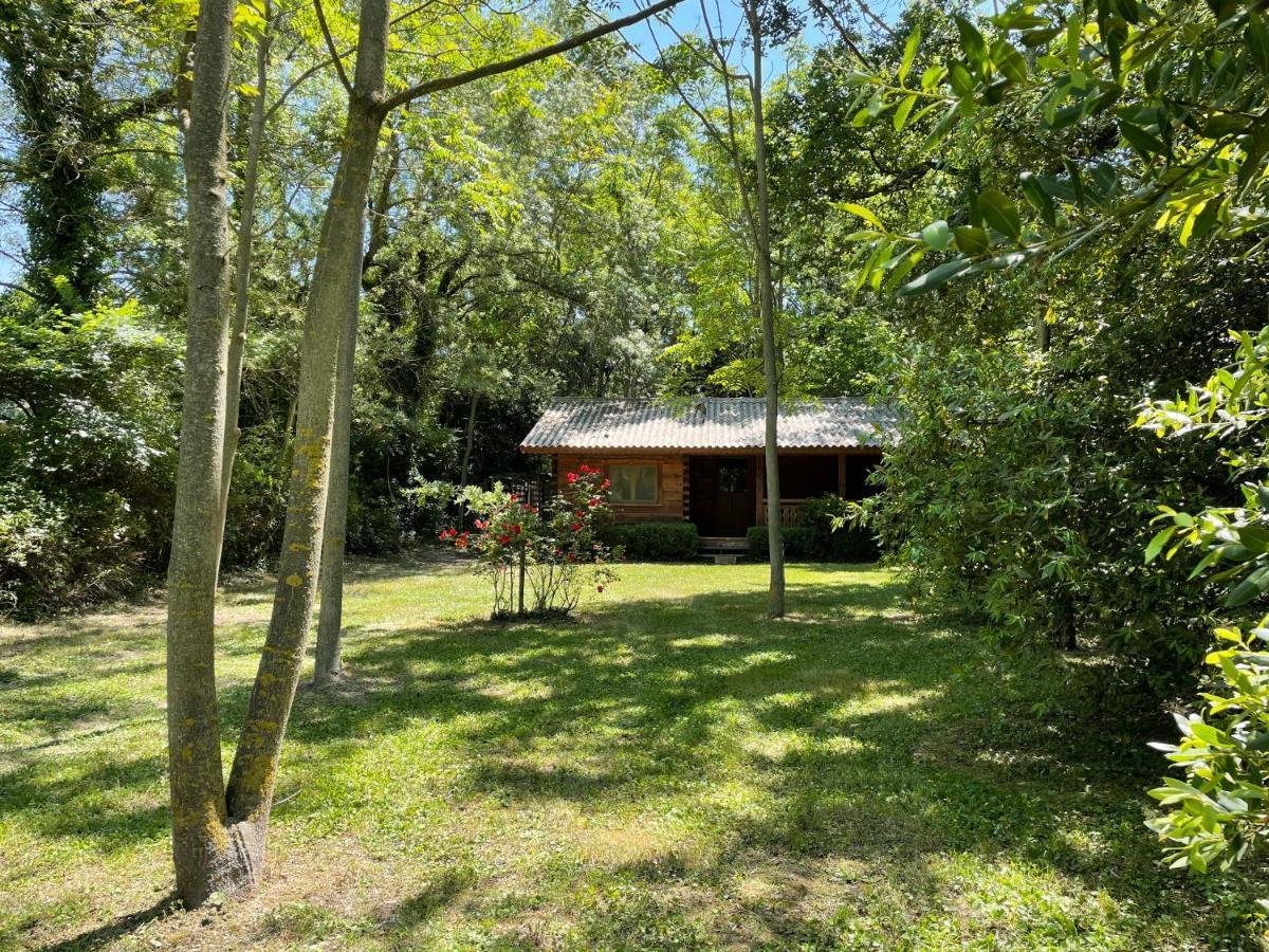 Bastidette Florestane Saint-Rémy-de-Provence Exterior photo